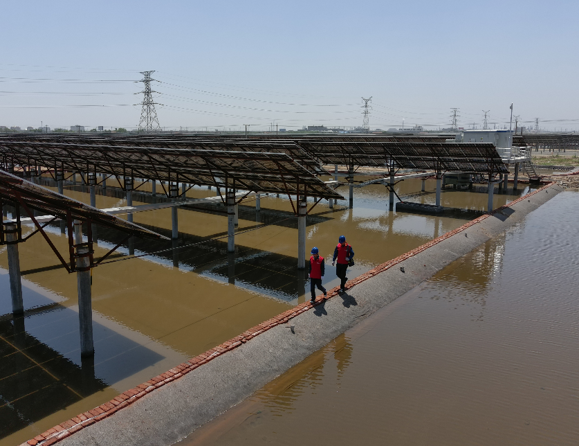 Ultra Platform省电线电缆行业Ultra Platform Ultra Platform省电线电缆行业Ultra Platform